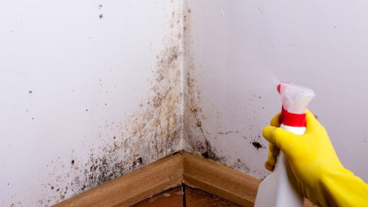 190516_mould_wall