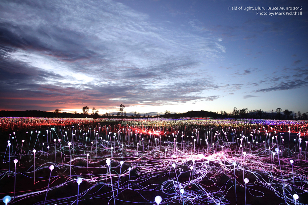 Field-of-Light-Uluru---Landscape