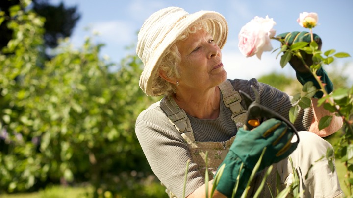 070716_senior_woman_gardening
