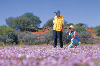 WA Wildflowers - purple