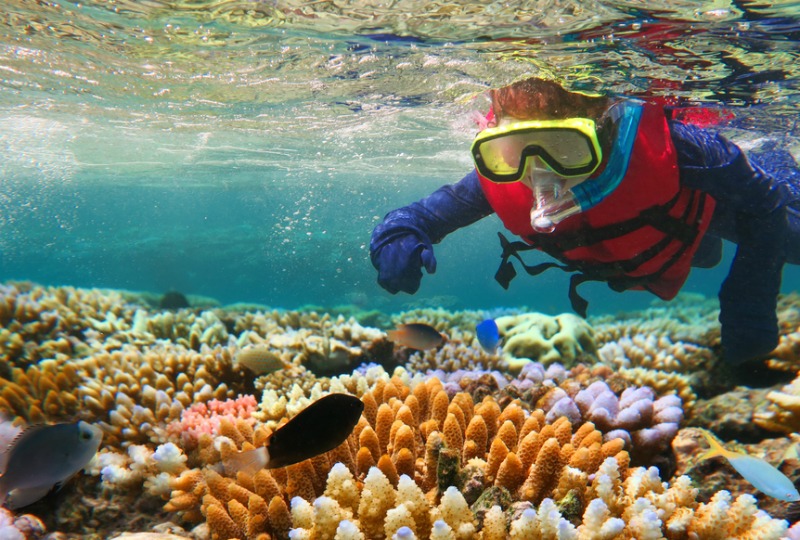 Great Barrier Reef named world's best place to visit in 2016