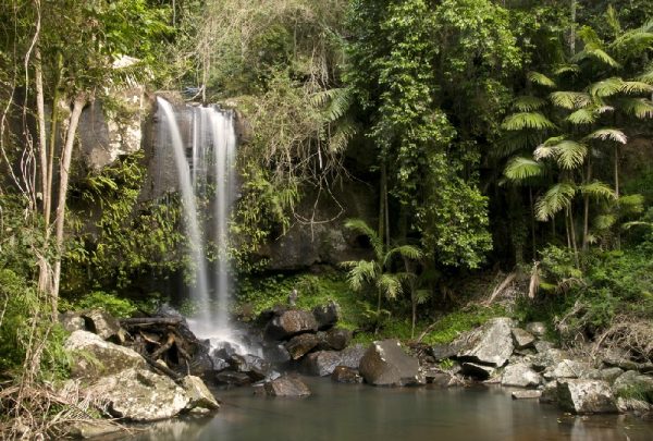 Retire-on-the-Gold-Coast-nature