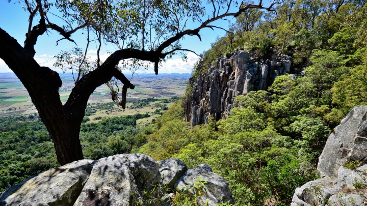 Mount French