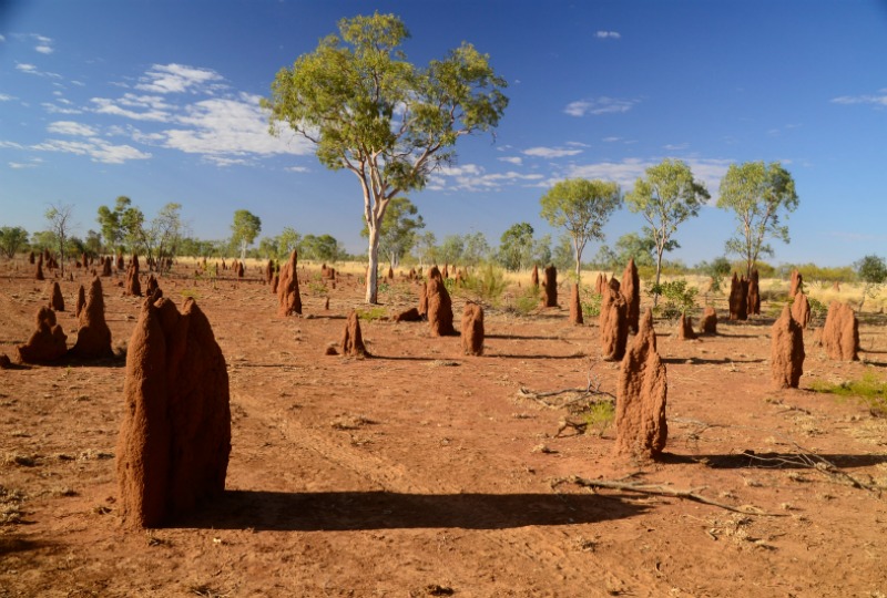 Barkly Highway, Mount French