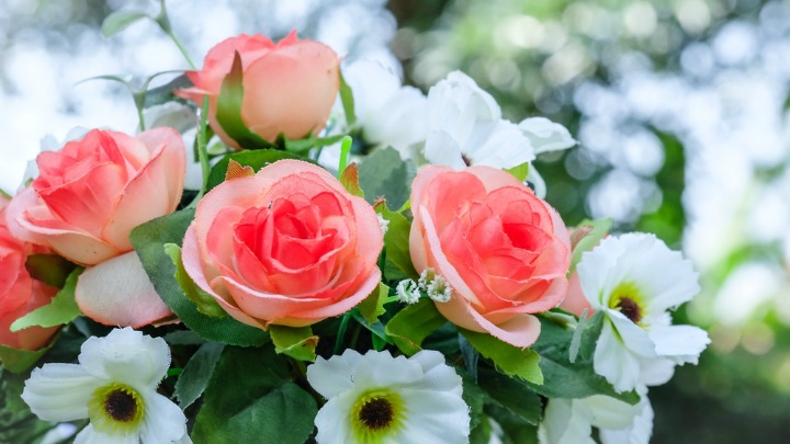 290816_flowers