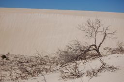 Jurien Bay Marine Park (72)sp