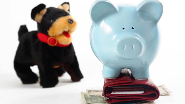050916_petinsurancecosts