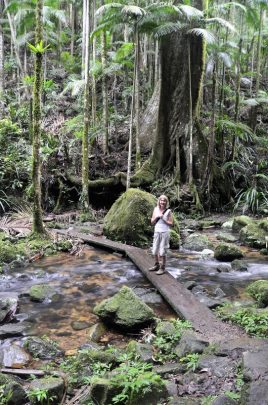 Protesters Falls, New South Wales. Photo courtesy Ian Smith.