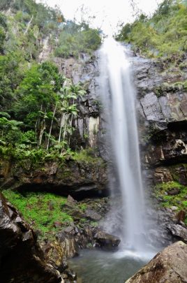 Photo courtesy Ian Smith.