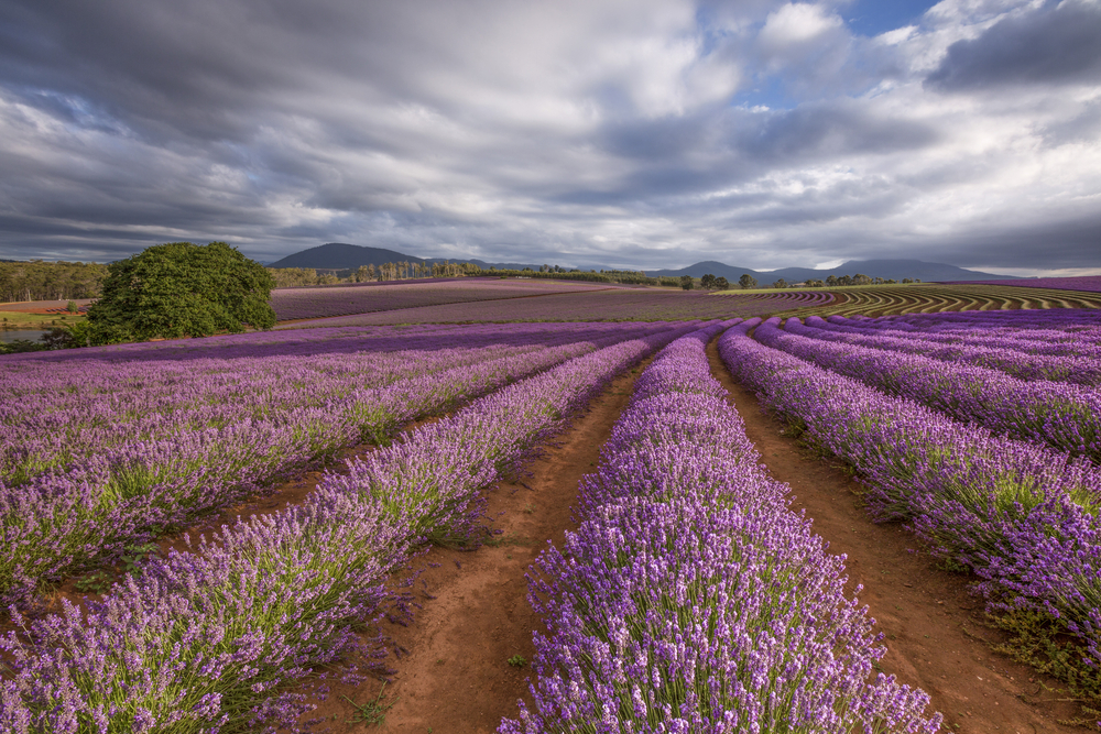 Australian Hidden Gems - Nabowla