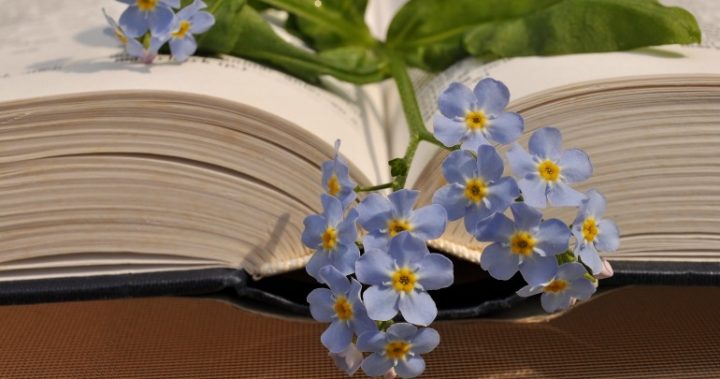 161012_old-book-forget-me-not-legacy