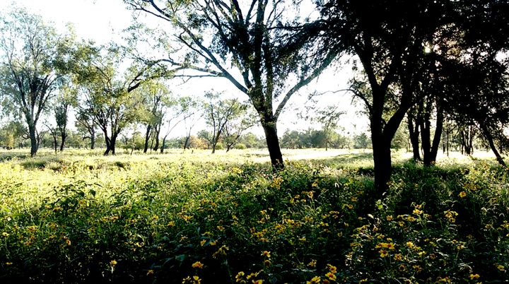 Things become surprisingly greener. Photo courtesy Garry Greenwood.