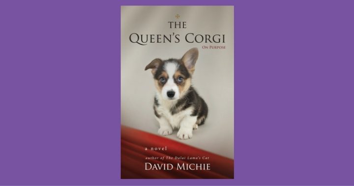 queens-corgi-david-michie