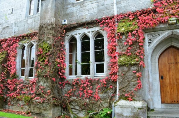 University College, Cork. Photo courtesy Lorraine Parker.