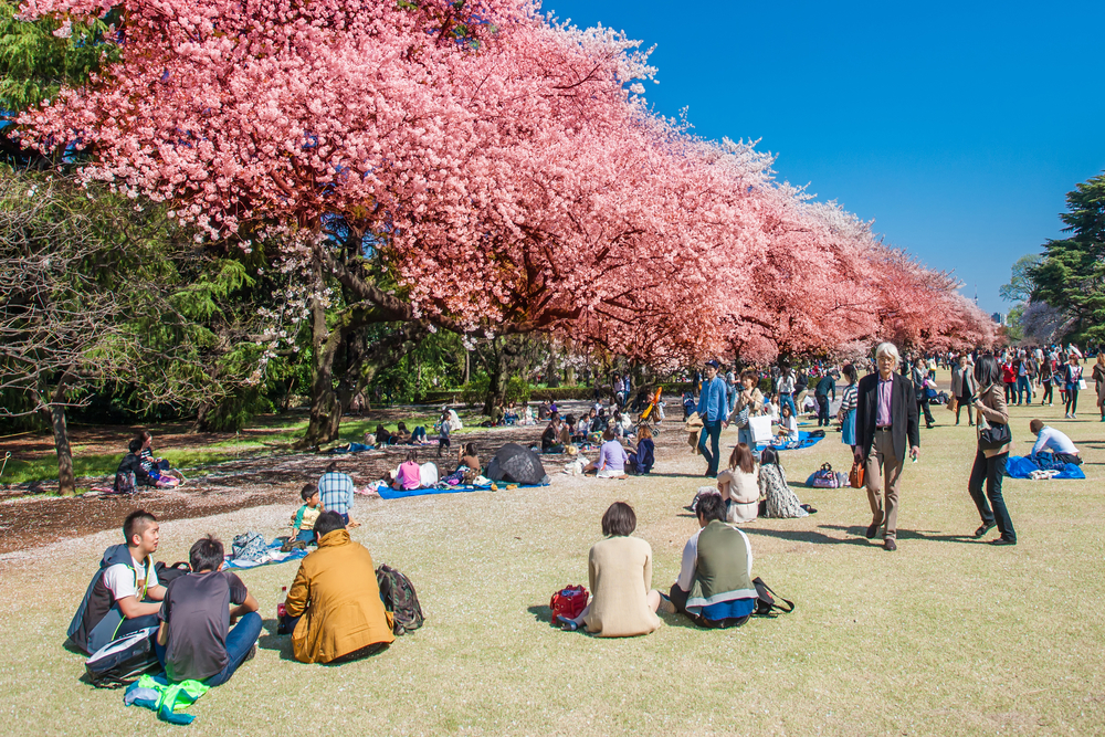 Best parks and gardens in Tokyo for travellers over 60