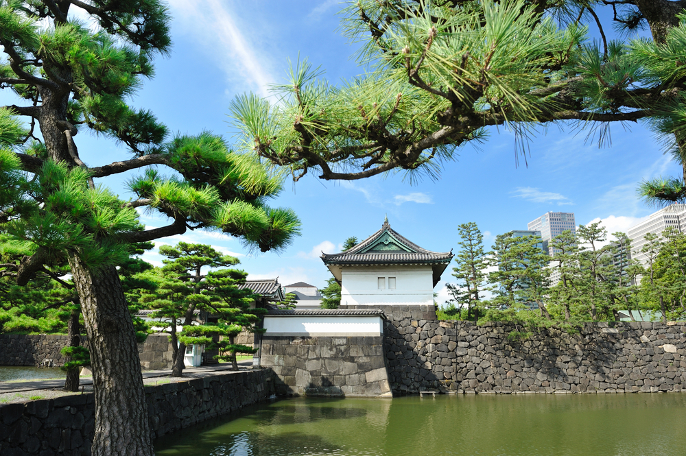 Best parks and gardens in Tokyo for travellers over 60