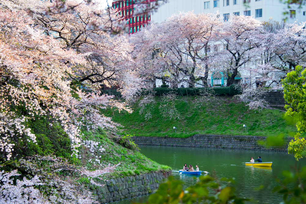 Best parks and gardens in Tokyo for travellers over 60