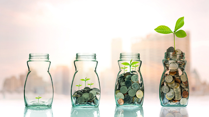 retirement-growing