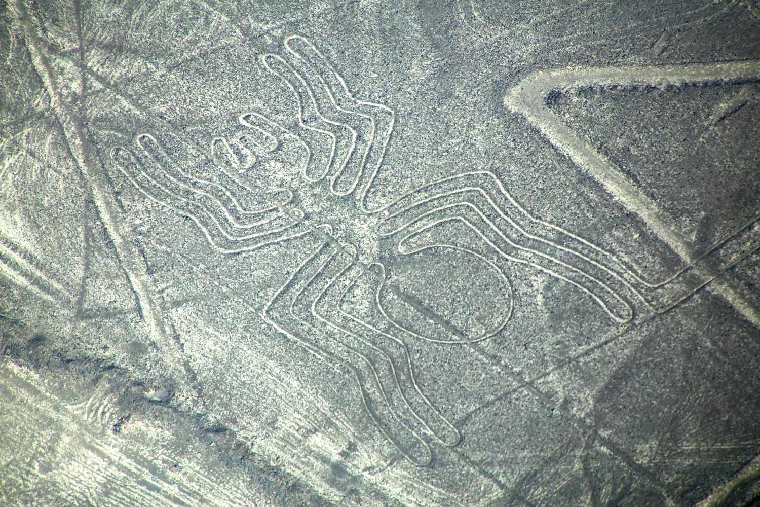 The Nazca lines in south Peru have been 'washed away'. Photo Shutterstock.