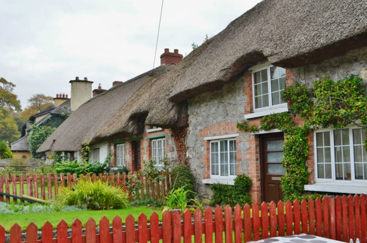 Some of the thatched roof houses you will find at Adare. Photo courtesy Lorraine Parker.