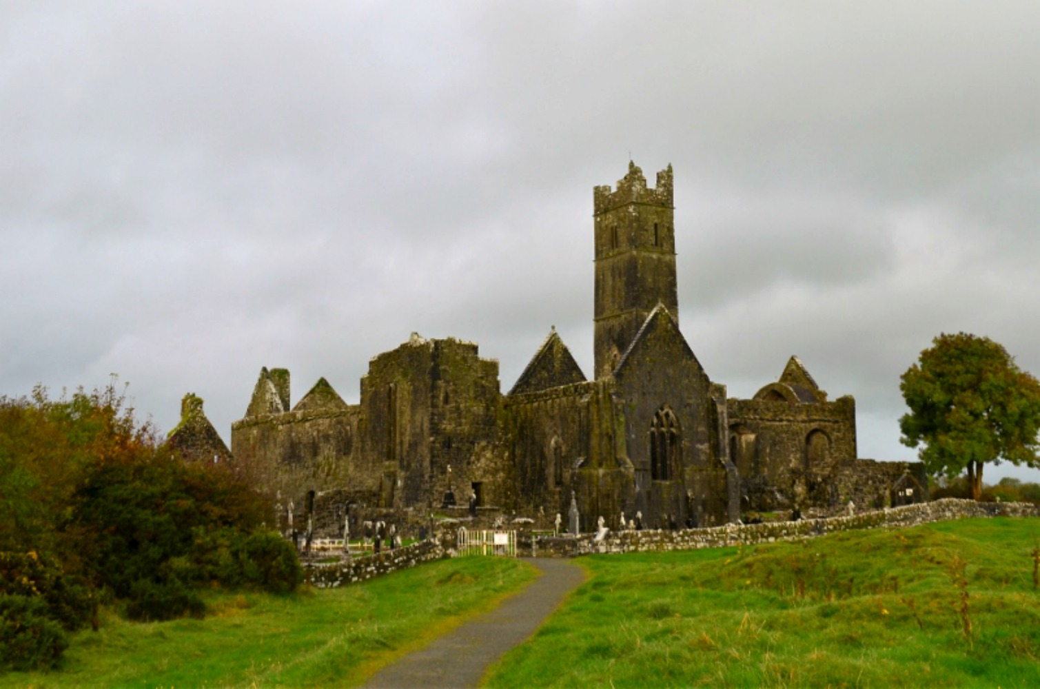 Quin Abbey. Photo courtesy Lorraine Parker.