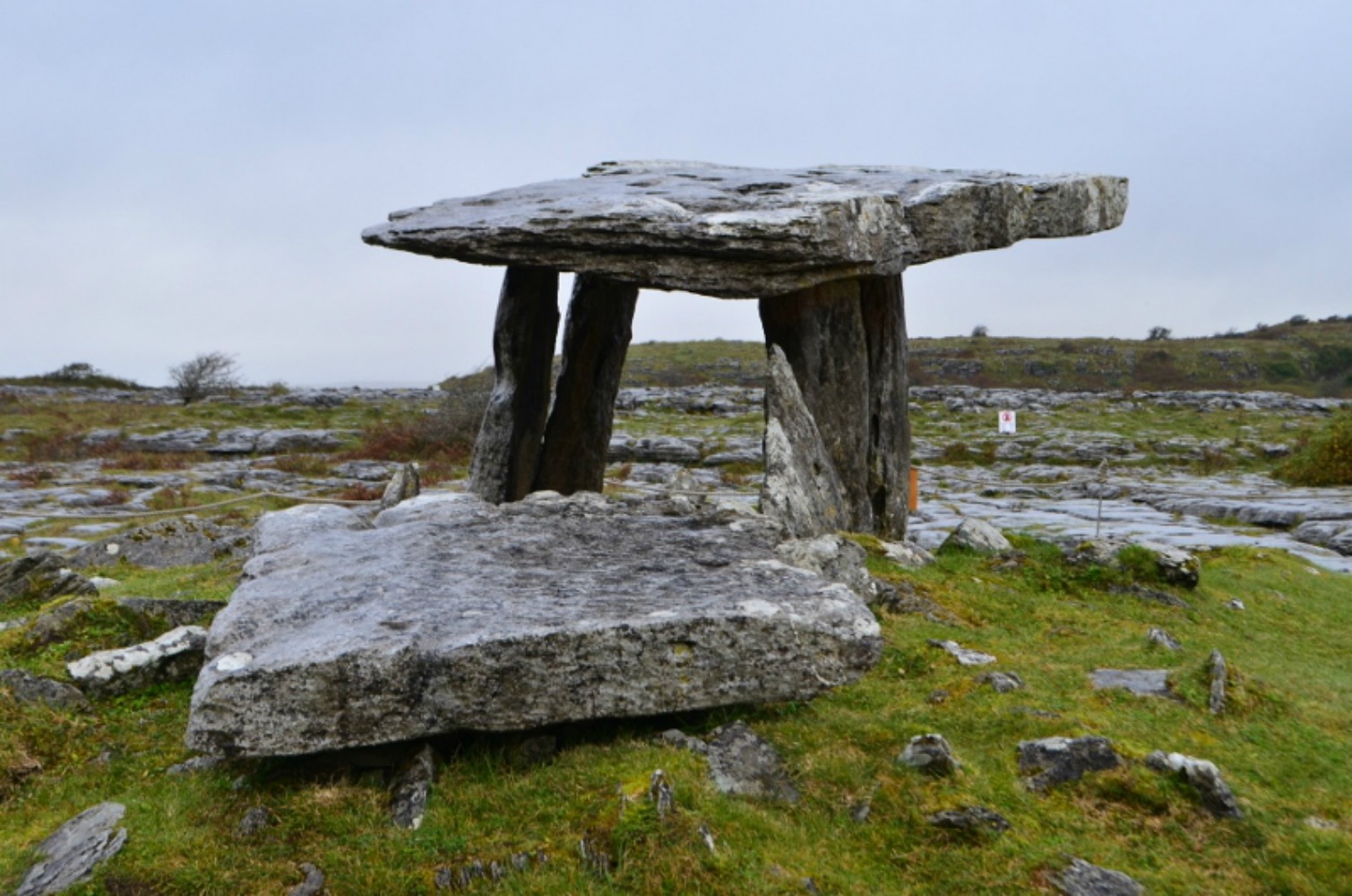 One of the dolmen you will find wandering through the Burren. Photo courtesy Lorraine Parker.