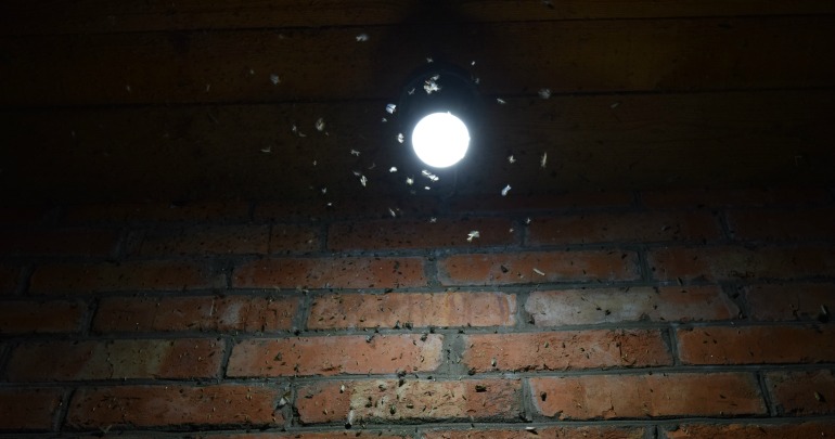 Stop bugs from your hanging around your lights with these easy tips