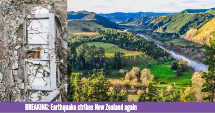 new zealand earthquake again