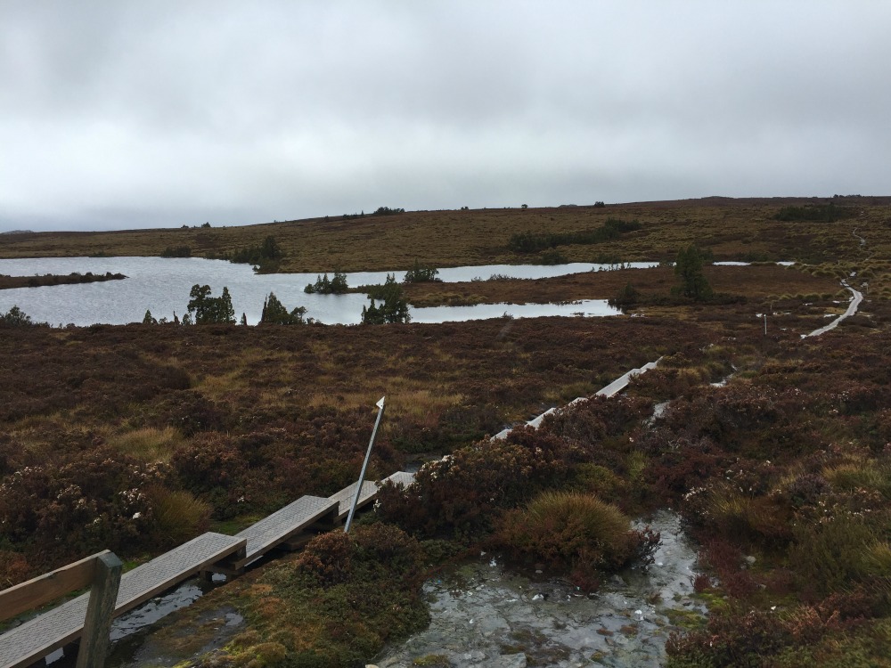 It wasn't all mountains and valleys on the Overland Track. 