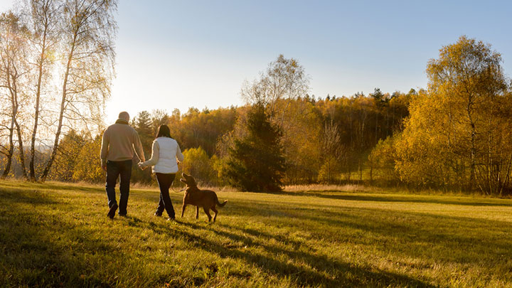 smsf-retirement