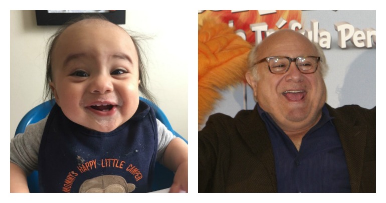 Baby Logan Bihamta, left, looks very much like Danny Devito. Photo: Reddit / Shutterstock.