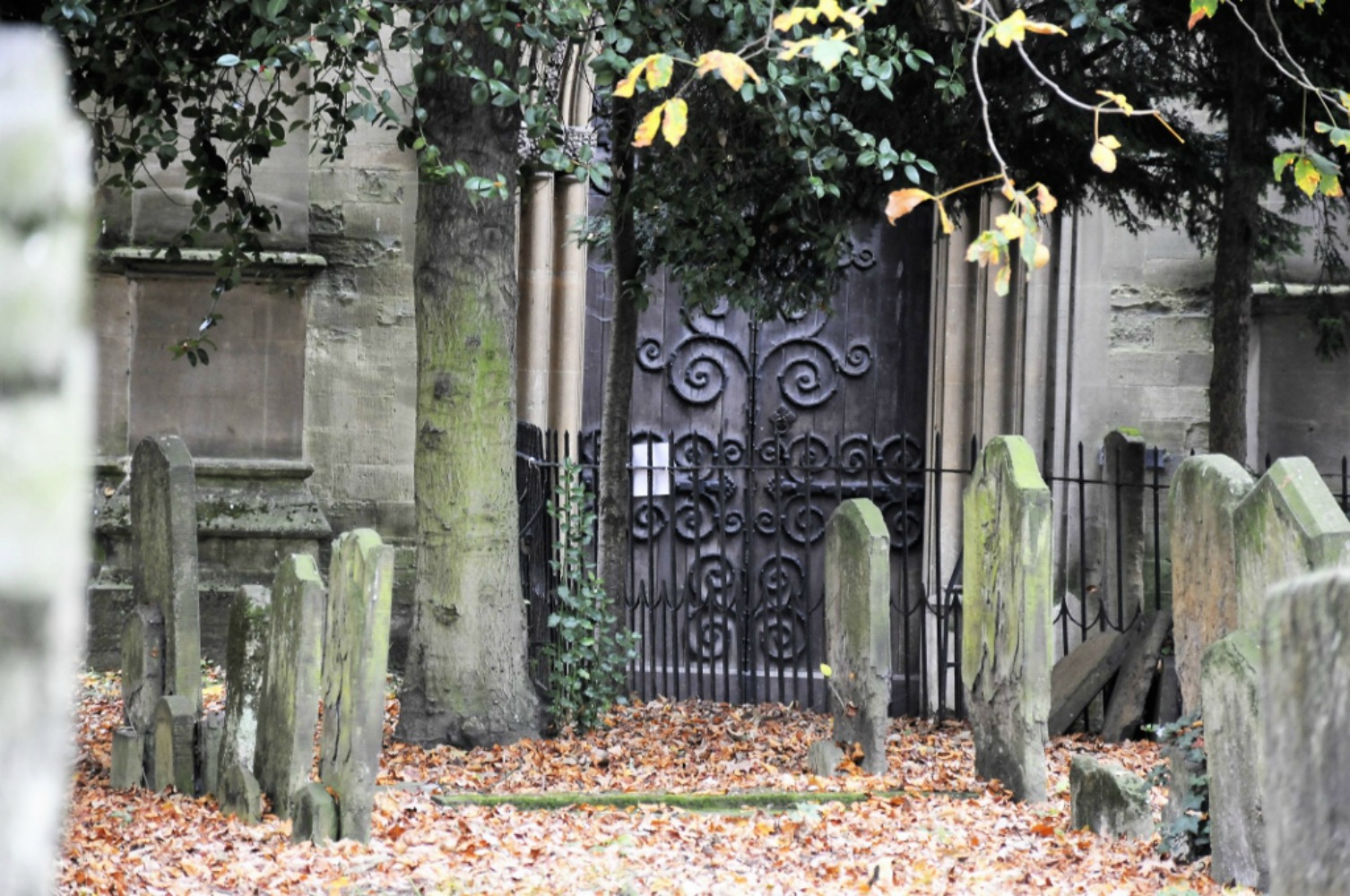 St Mary Magdalen smack in the middle of Oxford on its own little island refuge with graves all around. Photo courtesy Ian Smith.