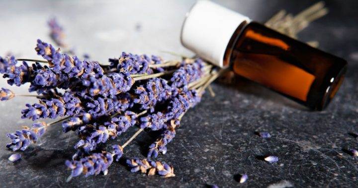 tips-cleaning-tips-using-lavender-oil