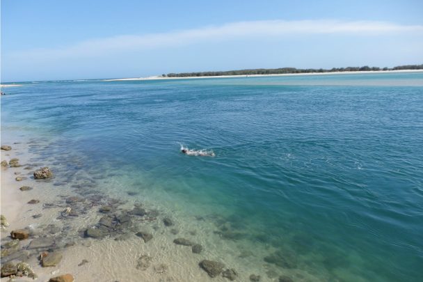 Pumicestone Passage looking towards Bribie Island. Photo courtesy Jeni Robinson.