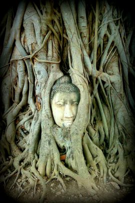 Ayutthaya, Thailand. Photo courtesy Garry Greenwood.