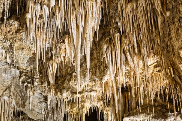 things-to-do-in-tasmania Things to do in Tasmania