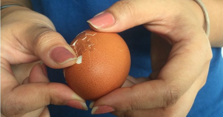 230117peelingeggs