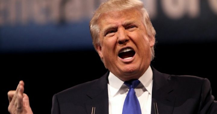 trump-terror-attacks
