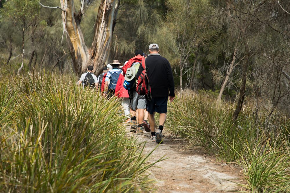 Expedition cruising in Tasmania