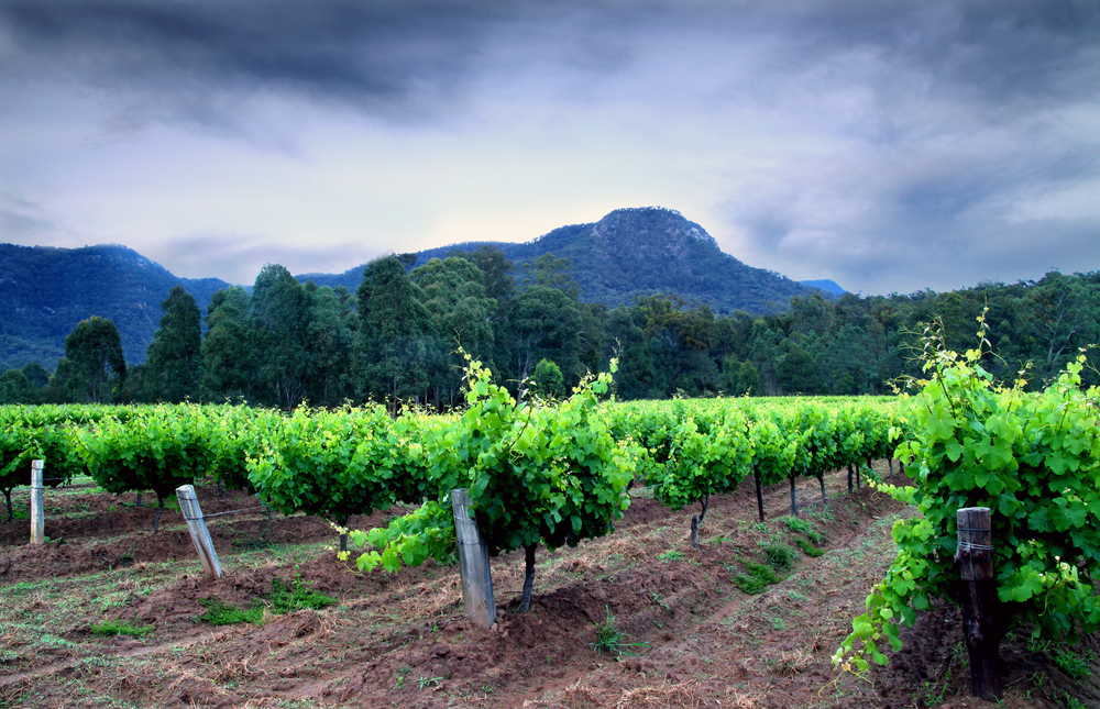 6 of the best wine regions in Australia Starts at 60