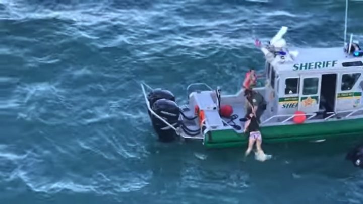 cuise ship near miss