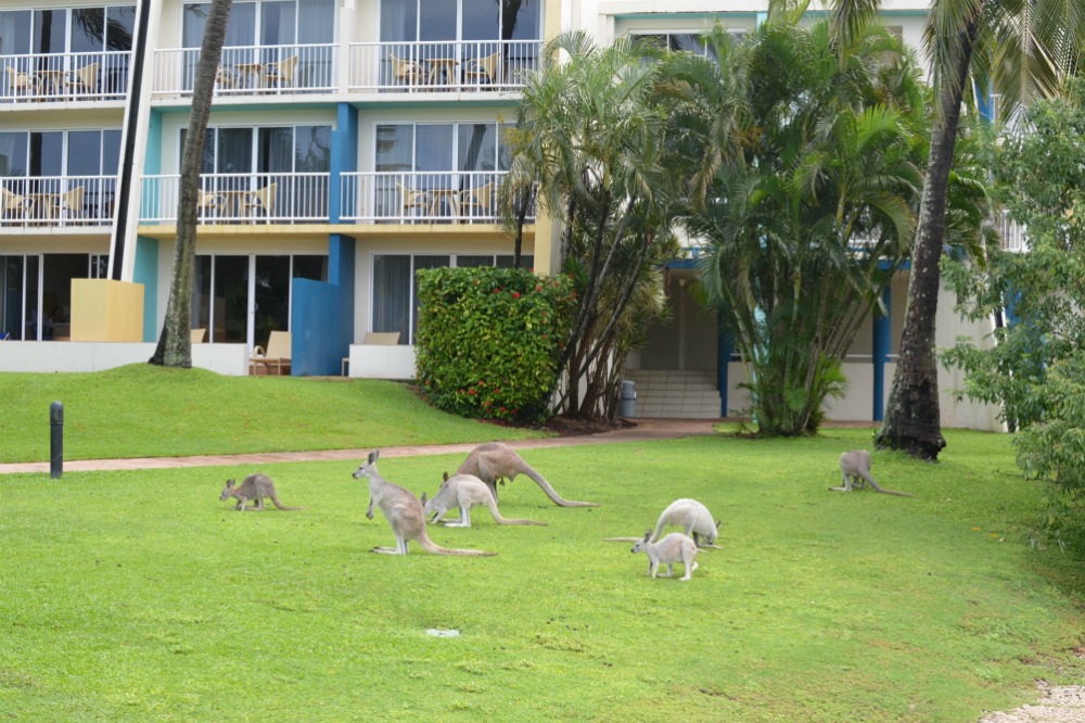 Whitsundays