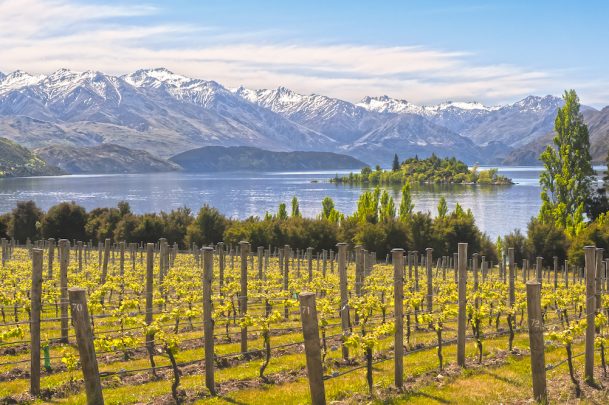 New Zealand winery New Zealand's wineries offer stunning views