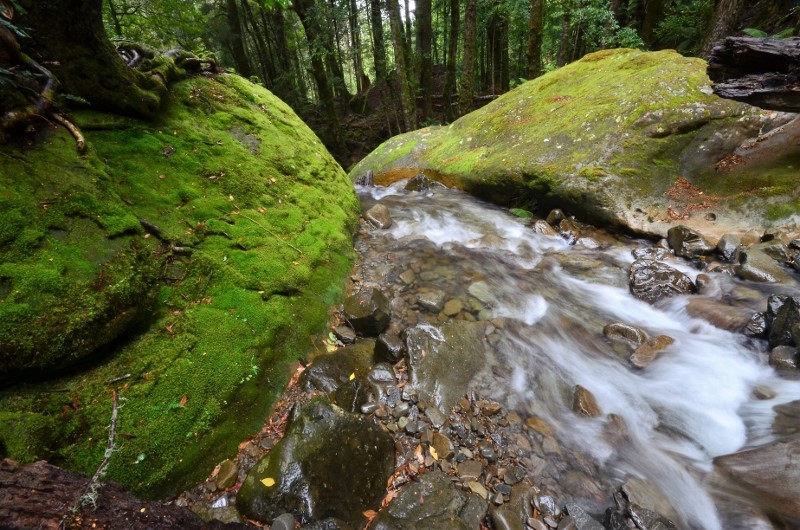 Hiking in Tasmania