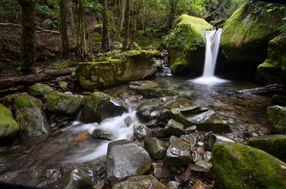 Hiking in Tasmania