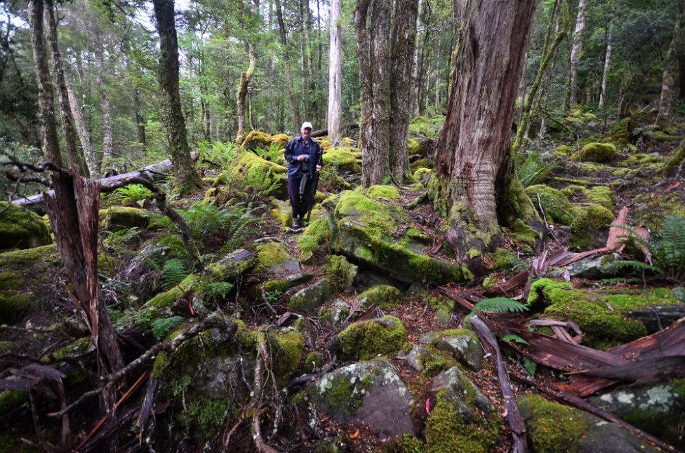 Hiking in Tasmania