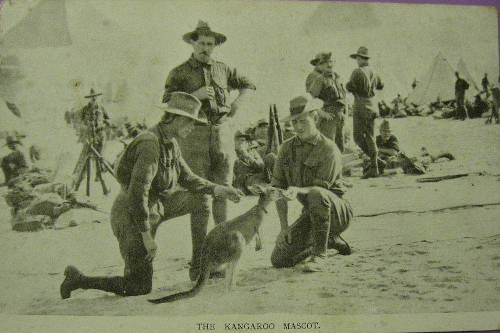 Kangaroo mascot with Australian soldiers