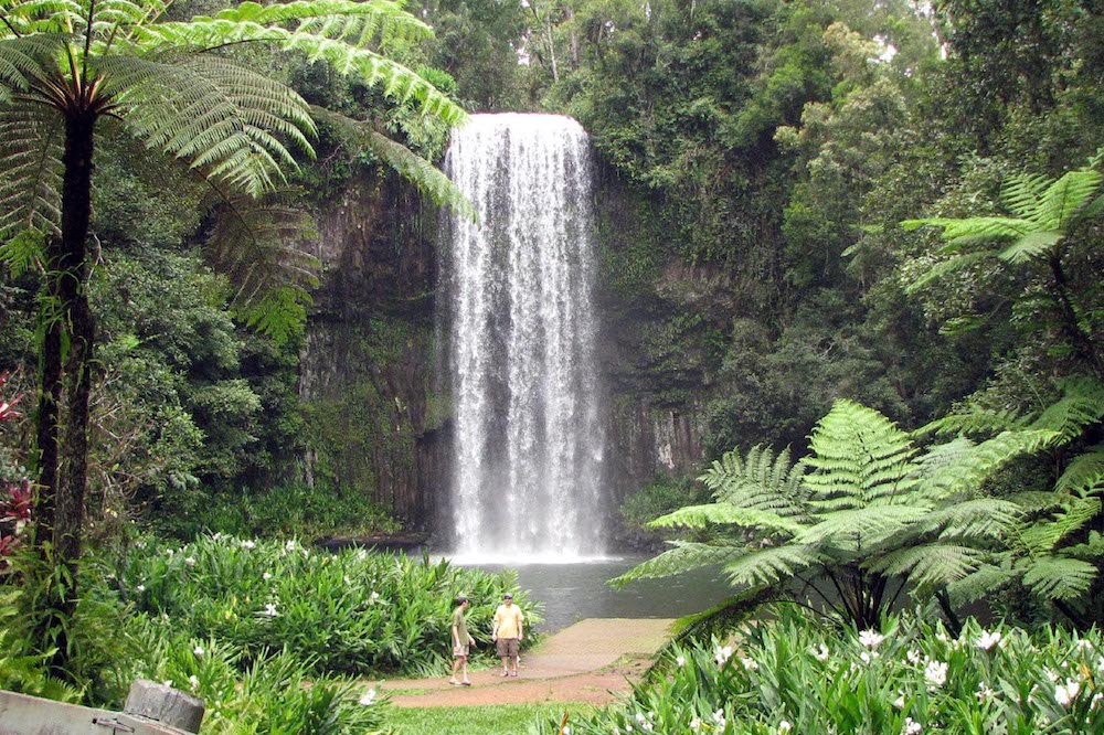 Millaa Millaa Falls, Queensland. Image: By Rob and Stephanie Levy from Townsville, Australia (Milaa Milaa falls) [CC BY 2.0 (http://creativecommons.org/licenses/by/2.0)], via Wikimedia Commons