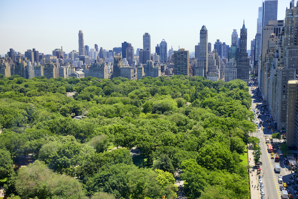 New York City skyline and Central Park