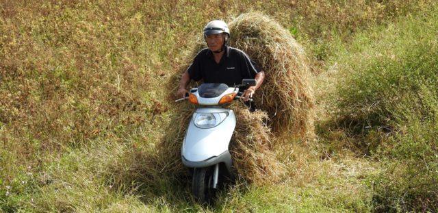 Rice producer off to the markets